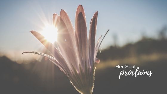 Hornstail Terrariums (5)